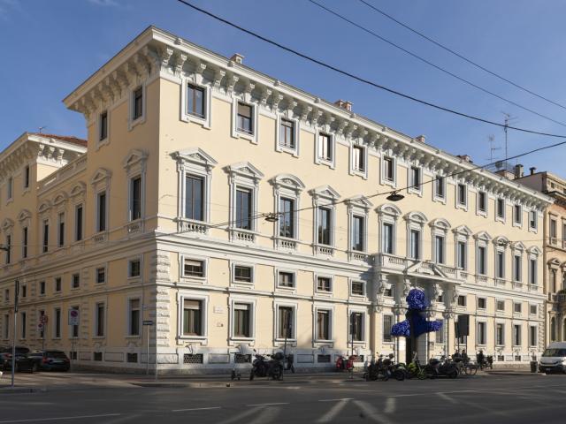 Entropia Cosmica di Tiziana Lorenzelli a cura di Vera Canevazzi e Margherita Strada