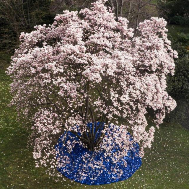 Entropia Cosmica di Tiziana Lorenzelli a cura di Vera Canevazzi e Margherita Strada