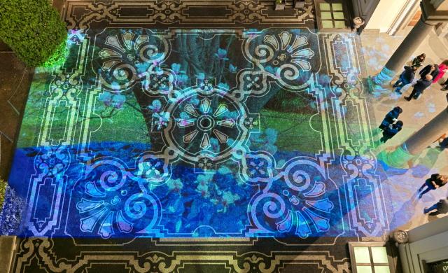 Entropia Cosmica di Tiziana Lorenzelli a cura di Vera Canevazzi e Margherita Strada