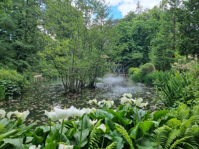 Clos Luc&egrave;: il giardino di Leonardo da Vinci con l'effetto sfumato