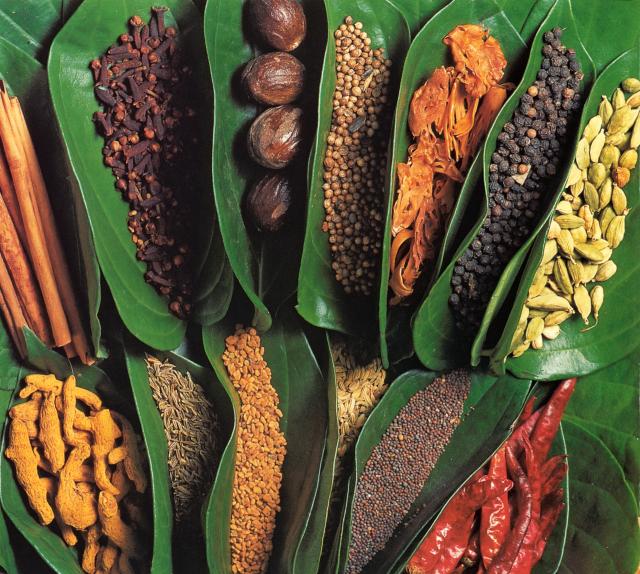 Festival dello Sri Lanka