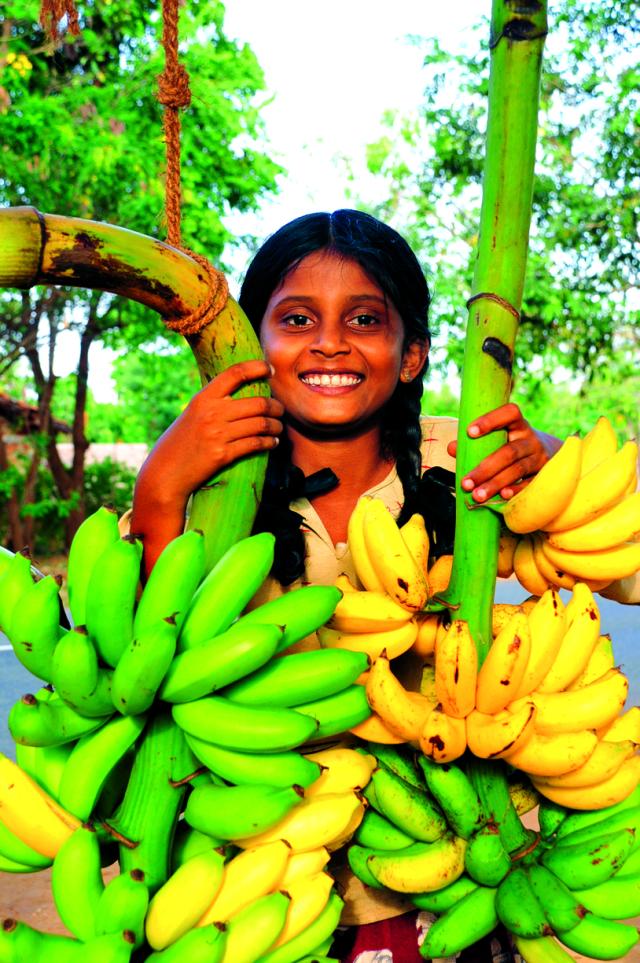 Festival dello Sri Lanka