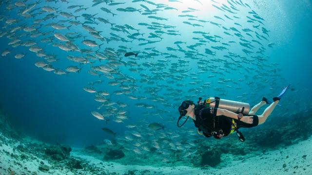 Il mare cristallino di Palau (Micronesia) courtesy Four Seasons