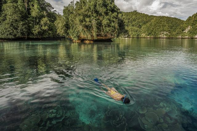 Snorkeling a Palau (Micronesia) courtesy Four Seasons
