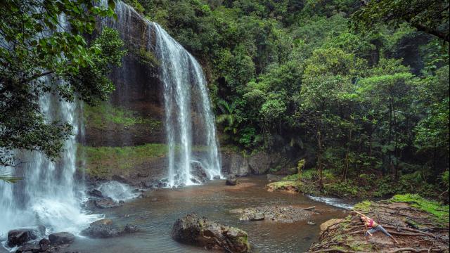 Natura a Palau (Micronesia) courtesy Four Seasons