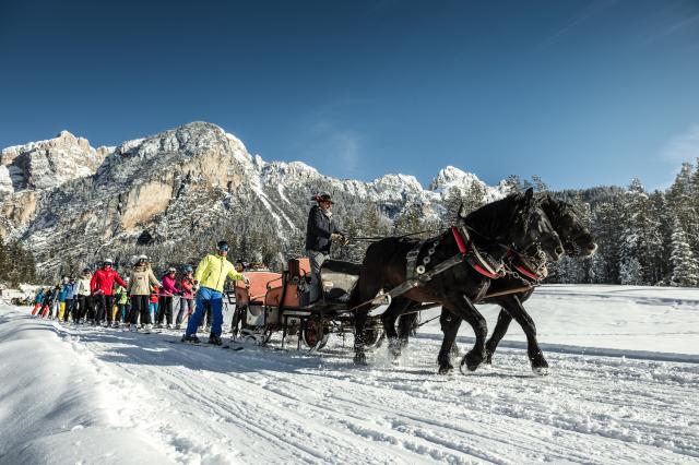 Alta Badia: cavalli a Lagazuoi