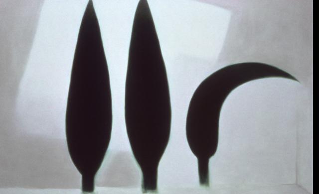 The Flattened Circle. Nell&rsquo;era della Globalizzazione e dell&rsquo;Equilibrio Instabile