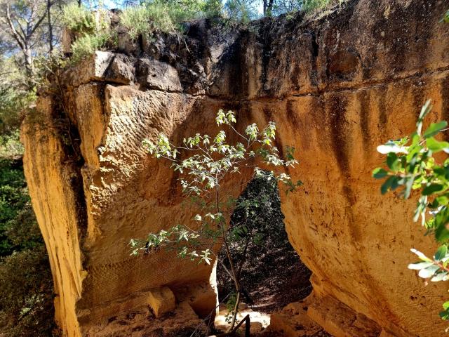 Le Cave di Bibemus a Aix-en-Provence