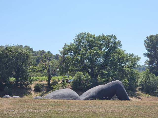 Land art a Chateau La Coste