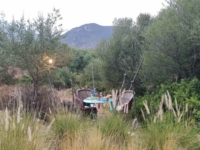 Ristorante Sos Nidos all'Hotel Su Gologone