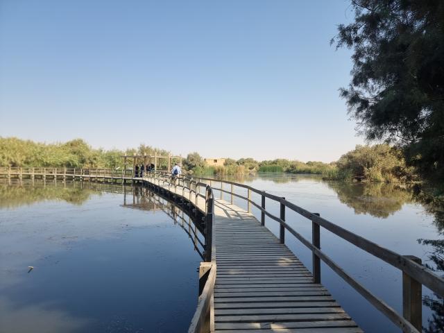 Giordania: la riserva di Azraq