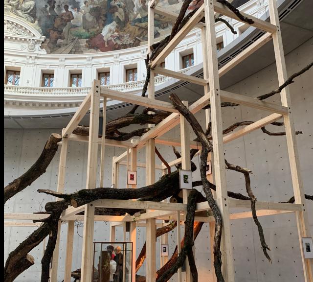 Collection Pinault Bourse de Commerce Danh Vo