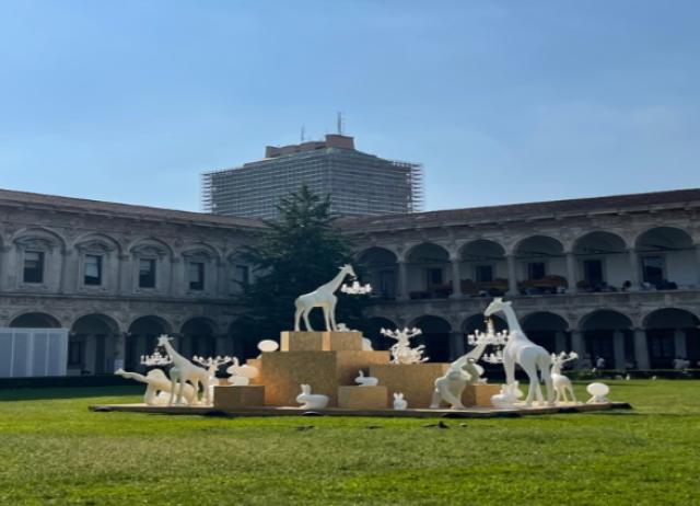 Survival, stefano Giovannoni, Queboo, luci Ledvance