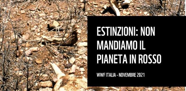 Wwf "Allarme estinzioni, il Pianeta rischia di andare in 'rosso'"