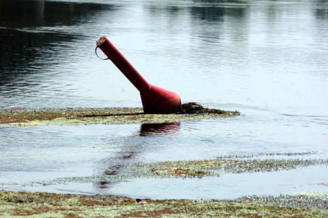 Allarme Arpa "In Lombardia non piove, clima da inizio maggio"
