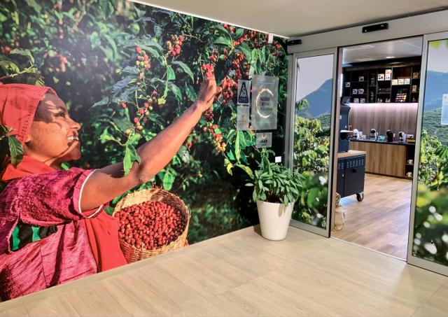 Coltivazione di caff&egrave; pi&ugrave; green, Nestl&eacute; lancia il Nescaf&eacute; Plan 2030