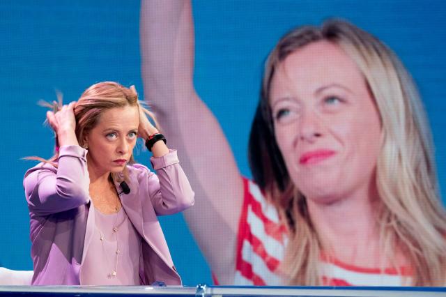 Governo Draghi, Meloni