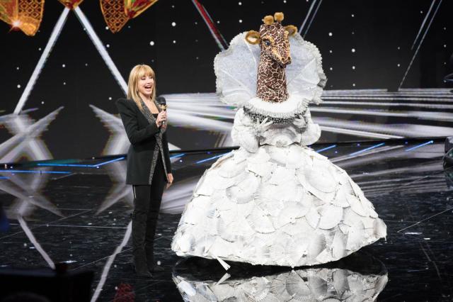 Il Cantante mascherato