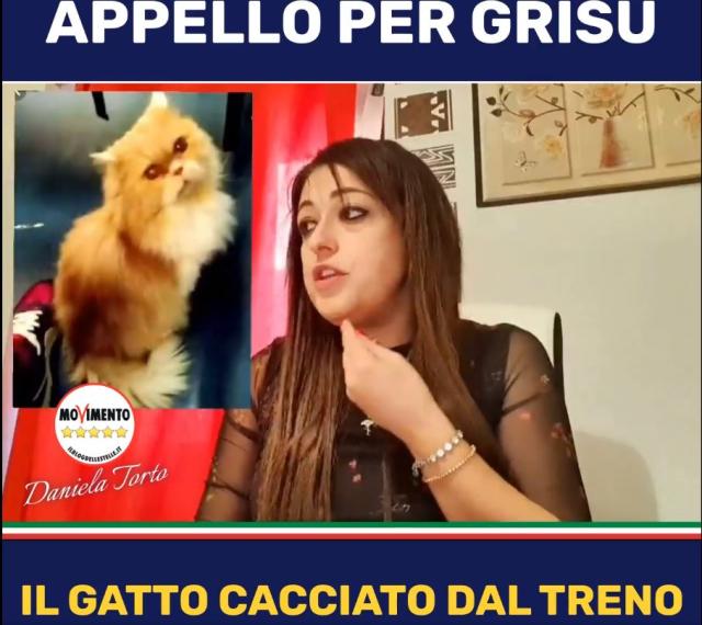 Daniela Torto, la 5 stelle che ha fatto interrogazione parlamentare per un gatto