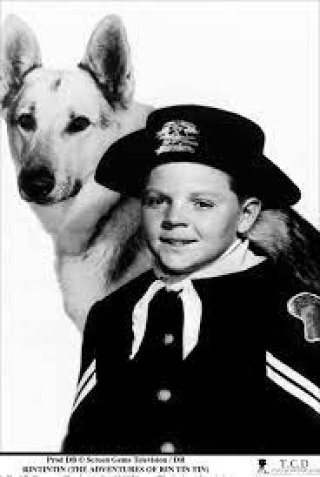 E' morto Lee William Aaker, il Rusty de "Le avventure di Rin Tin Tin"
