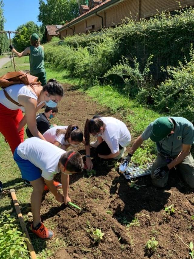 Parte &ldquo;Scuola Forestami&rdquo;, il progetto speciale di Forestami in partnership con AXA Italia &nbsp;