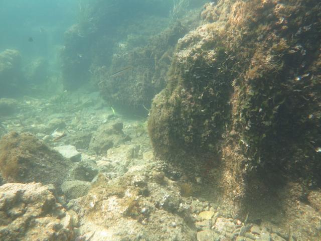 Scoperte vasche romane nelle acque di Baia.   Avilia: "risalgono alla prima et&agrave; augustea"