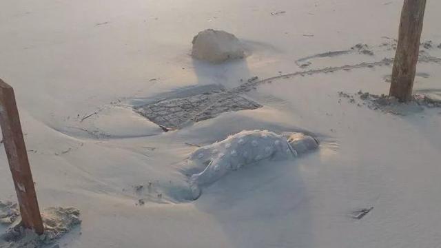 Migranti, cadaveri di bambini sulla spiaggia. Open Arms: "Europa vergognati"