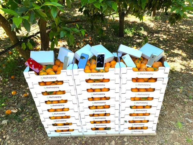 Economia circolare. Rehappy dona tonnellate di arance ad associazioni di beneficenza siciliane