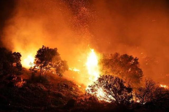 Incendio in Sardegna