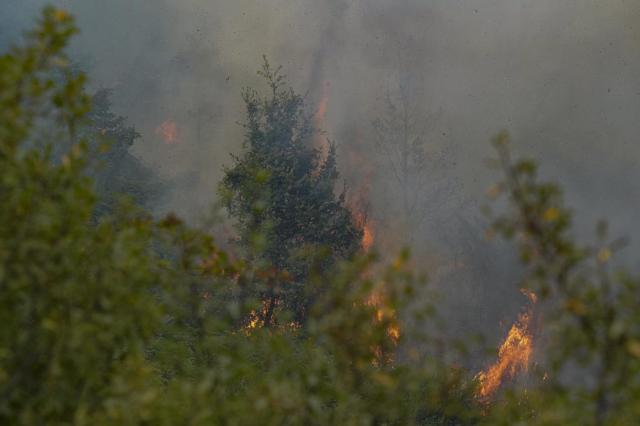 Roghi in Sardegna, Procura indaga per incendio colposo: dietro un uomo