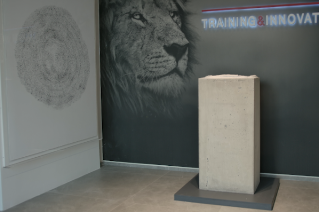 Banca Generali sostiene la ripartenza del mondo dell'arte con BG Art Talent