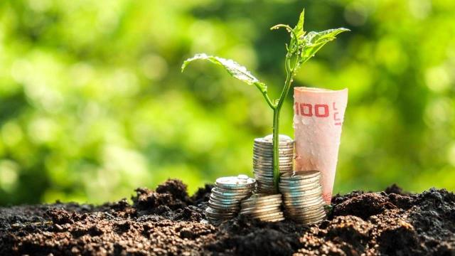 Sace, investimento da 100 milioni per la crescita sostenibile di Novamont insieme a un pool di banche