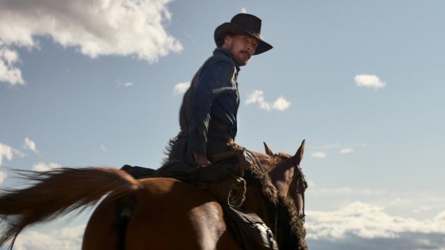 Benedict Cumberbatch, avvelenamento da nicotina in The Power of the Dog: cosa &egrave; successo