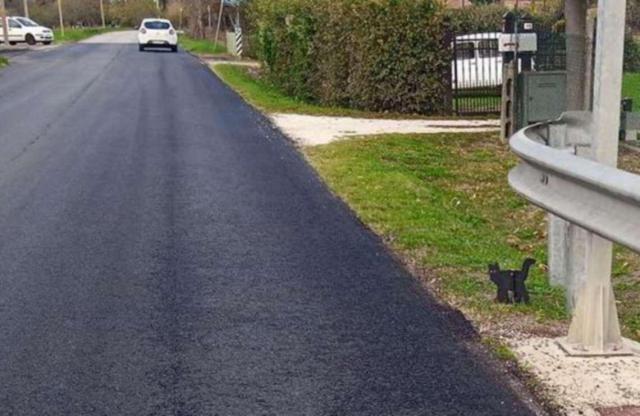 Autovelox? No, a Cervia per rallentare gli automobilisti arriva un gatto nero (e funziona)
