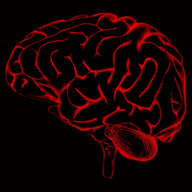 Mind uploading, i dubbi di un Nuovo Umanista