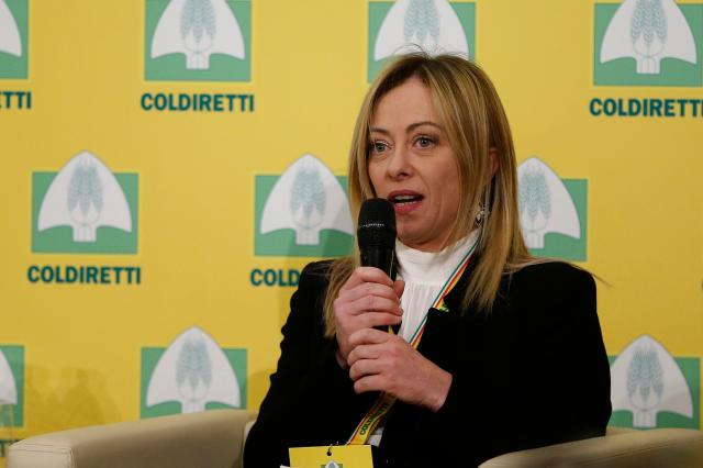 Covid, Meloni: "Tamponi gratis per tutti i cittadini italiani"