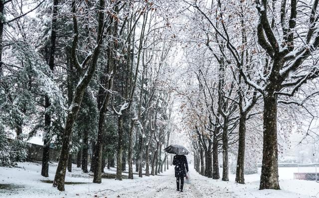 Panorama innevato a Carnago, Varese