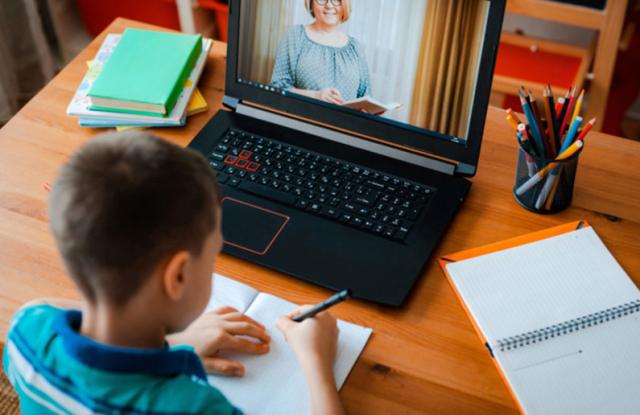Scuola, il Vaticano contro la didattica a distanza: "Misura grave, impoverisce l'apprendimento"