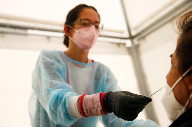 Caos tamponi nelle farmacie, la denuncia dell'Ordine dei medici di Milano: "Situazione ingestibile"