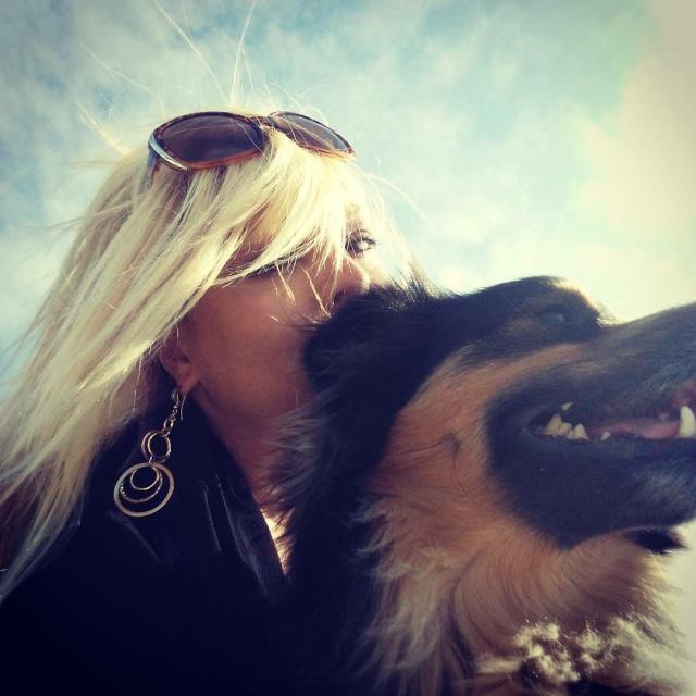 Pesaro, Cristina Calzoni muore dopo due morsi di ragno violino: aveva 45 anni