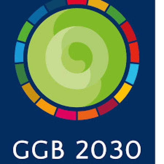 Generali, Green Globe Banking 2030: premiata per l'impegno verso gli obiettivi dello sviluppo sostenibile