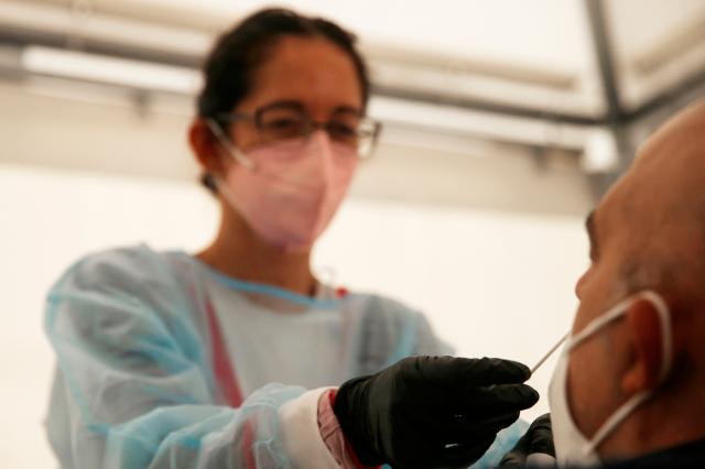 Covid: oggi i nuovi dati sulla circolazione della variante Omicron in Italia