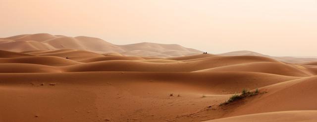 deserto