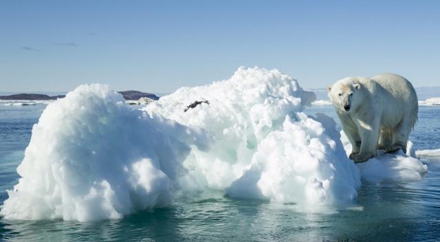 La sfida ambientale: difendere l&rsquo;uomo e difendere la Terra