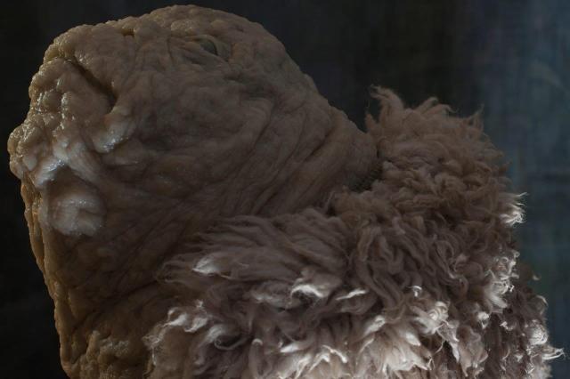 Opera di Michele Gabriele. Foto M. Ben Hamouda - M. Gabriele_2