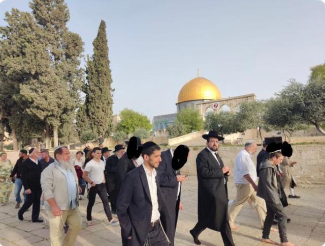 Spianata delle Moschee, 2022