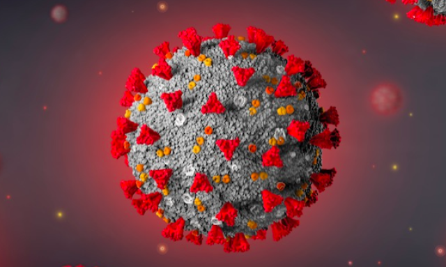 Lattoferrina e varianti SARS-CoV-2 in gravidanza e nei bambini