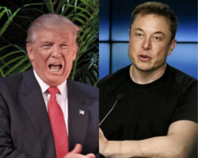 Twitter, Musk riprende Trump: "Un errore bloccare suo profilo"
