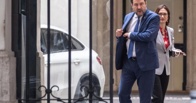 Salvini gelmini
