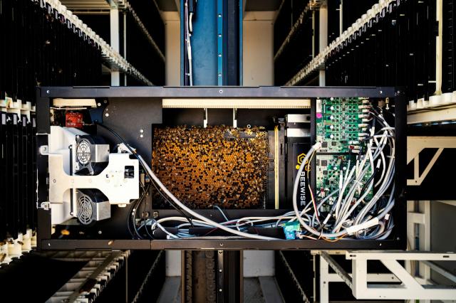 Banca Generali, progetto fotografico "Time To Change" di Stefano Guindani: obiettivo fame zero e corretta nutrizione 